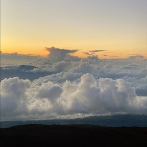 Meet your Posher, Chyna